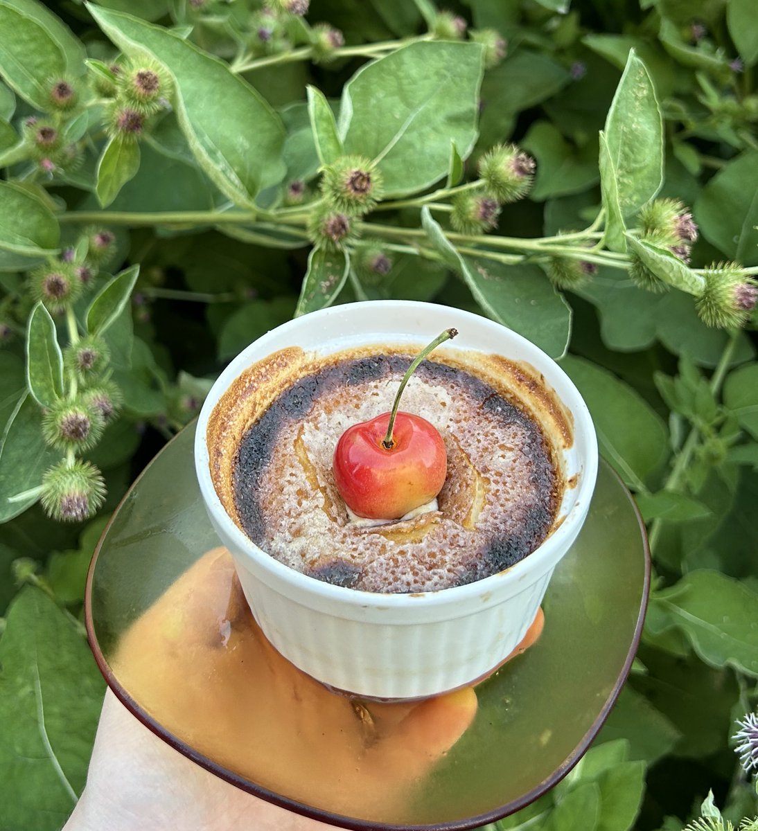 stuff1eee's tweet image. cardamom honey creme brûlée