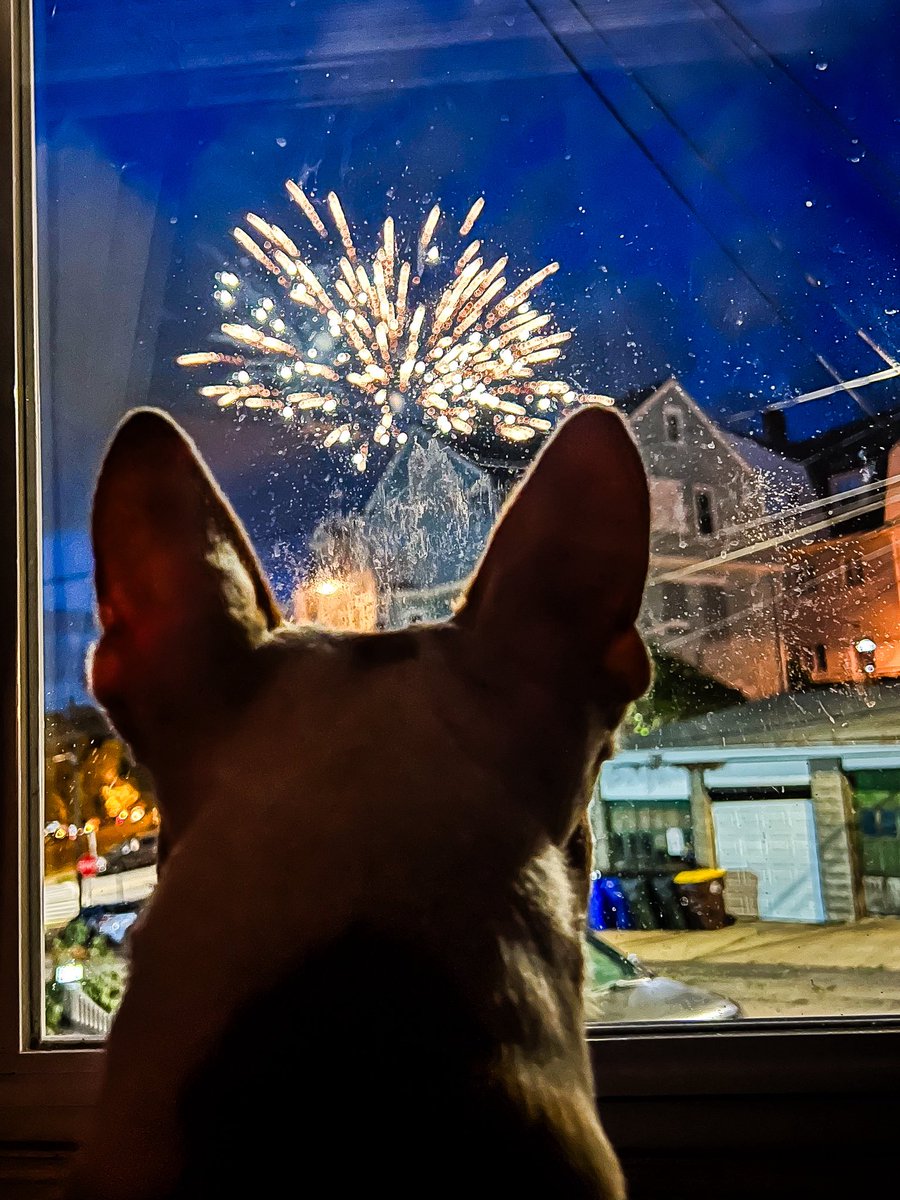 josilynnnx3's tweet image. Happy Fourth! I’m watching fireworks from the comfort of my own living room w Penny and Lincoln. 🤣