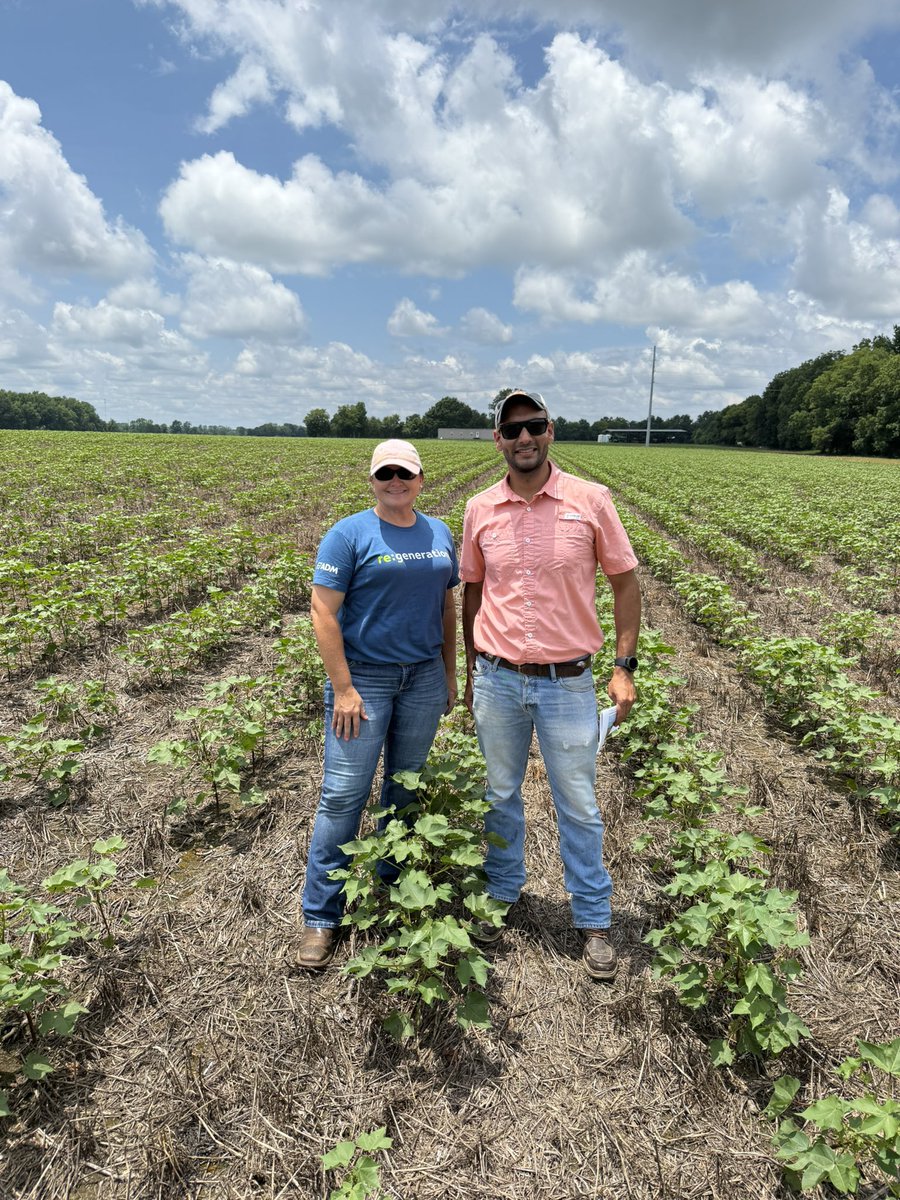 Our favorite type of knee high by the 4th of July. Our cotton crop this year is all over the board across the state but glad this cotton in one of our #onfarm #plantertech trials at Bell Place Farm is doing ok. Happy 4th!! #wearcotton #eatmorepeanuts <a href="/AuburnAg/">Auburn Agriculture</a>