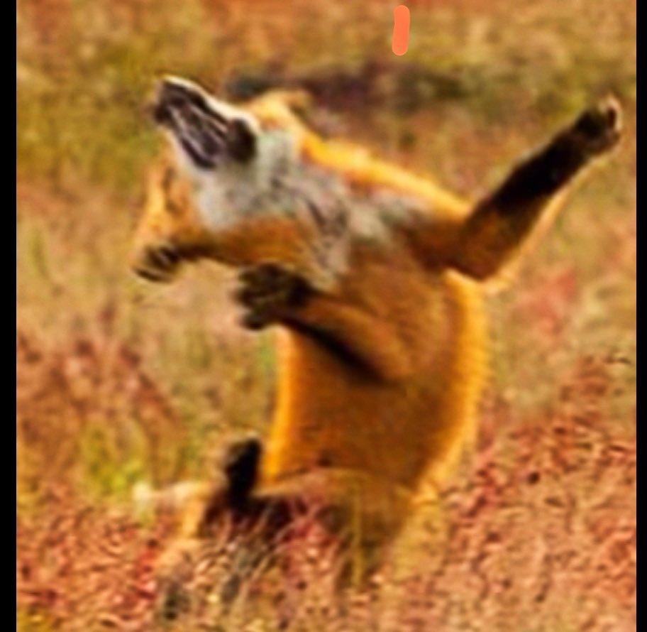 Captain_loggie's tweet image. Current feeling