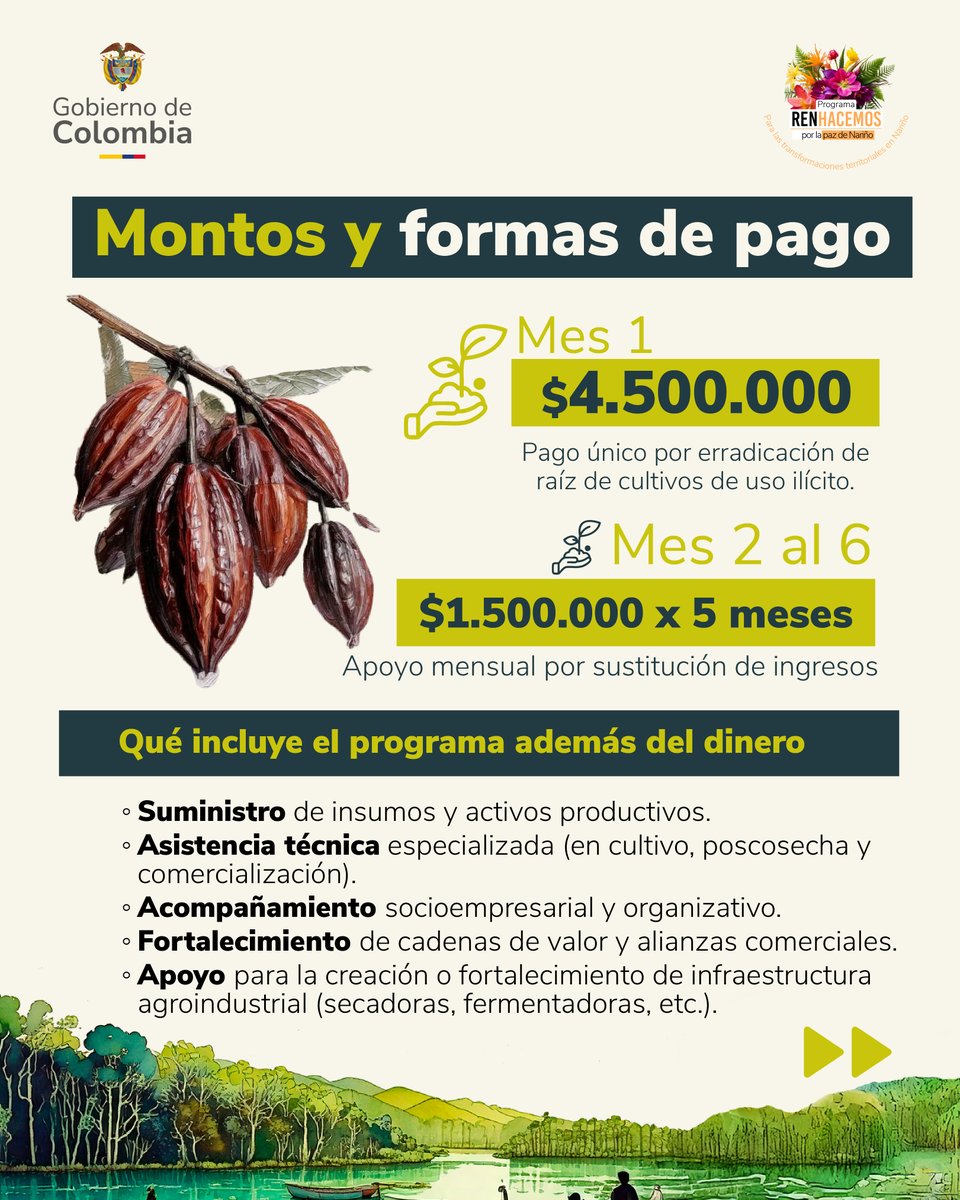 SoySustitucion's tweet photo. 📢 ¡Convocatoria abierta en Roberto Payán!
🗓️ Del 5 de julio al 5 de agosto
👥 Líneas productivas: cacao, plátano, vainilla, cúrcuma, cardamomo, caña, piscicultura, ají y naidí.
RenHacemos impulsa el tránsito hacia economías lícitas, sostenibles y comunitarias. https://t.co/hYO5FhvcwC