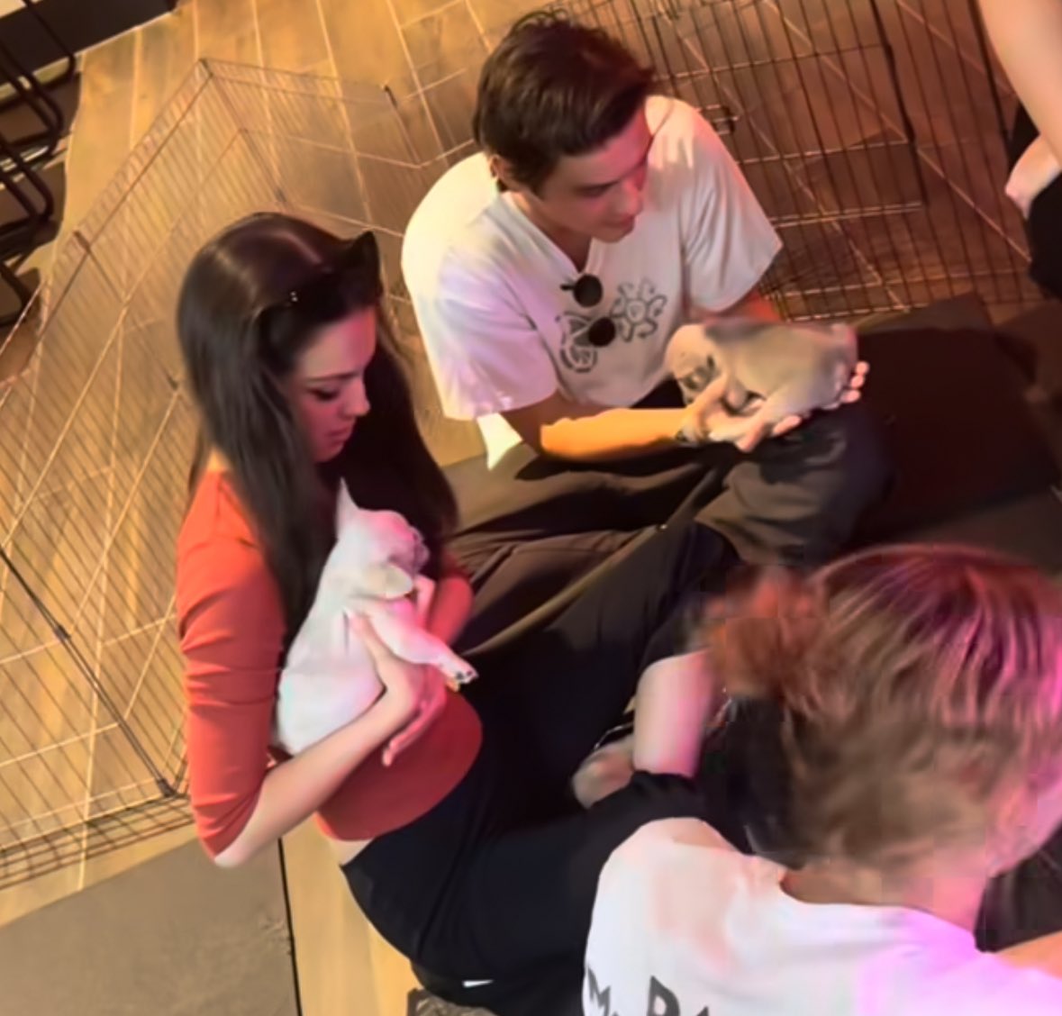 Olivia Rodrigo you wanna get a puppy soooo bad