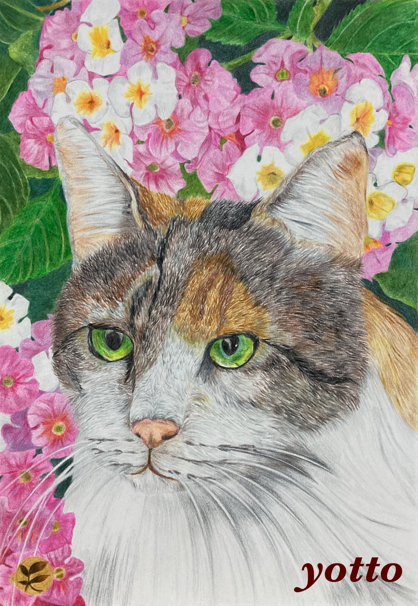 色鉛筆画 A5キジシロ ☆モア☆ 色鉛筆画 A5キジシロ ☆モア☆ Amazon | 水彩色鉛筆 画材 - 大人