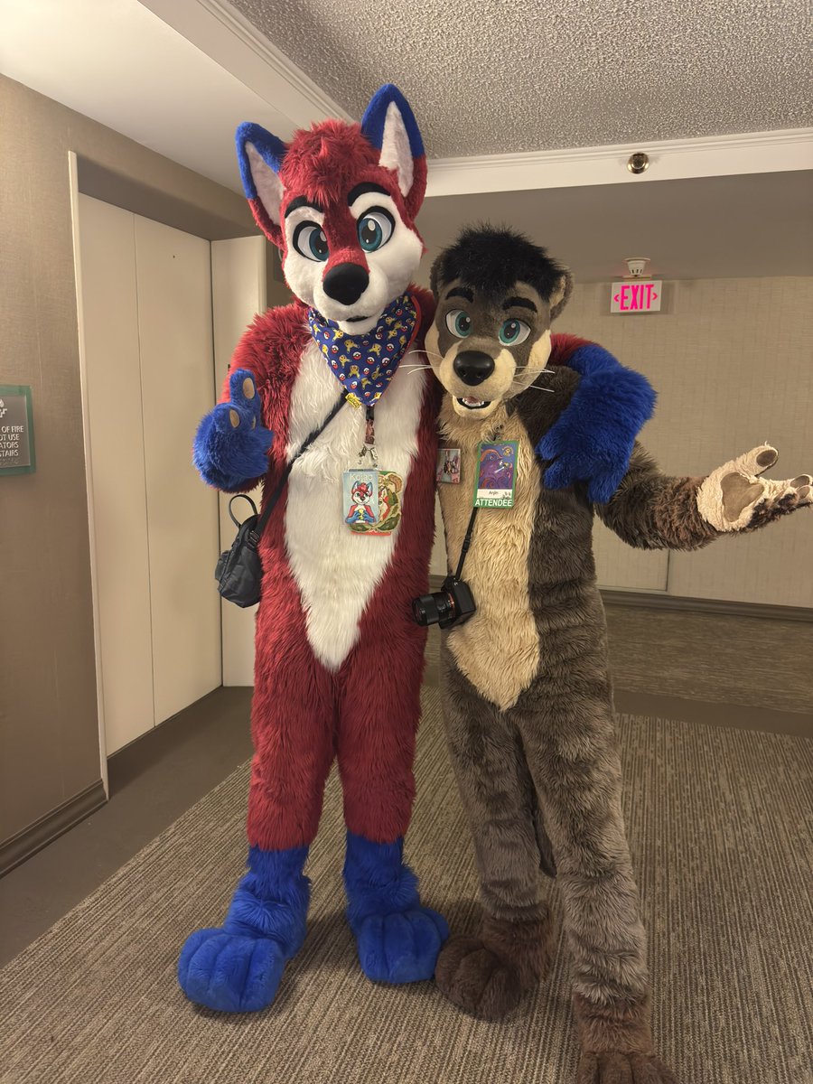 KoidelCoyote's tweet image. 2 cuties :3
@kojachusky @AnjinOtter