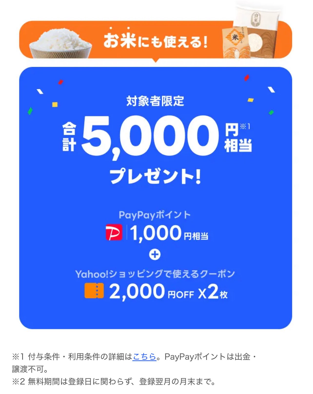 【値下げ】墨アート　‘’均衡‘’(10%OFF※12/31迄) プライスダウン】ウォークマンのフラグシップモデル『NW-ZX707