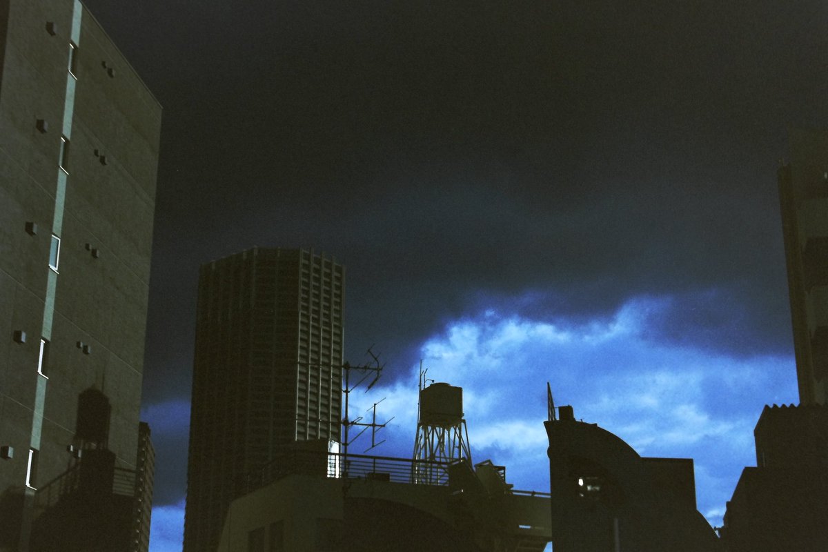 Canon New F1
FD 50mm F1.4
lomography