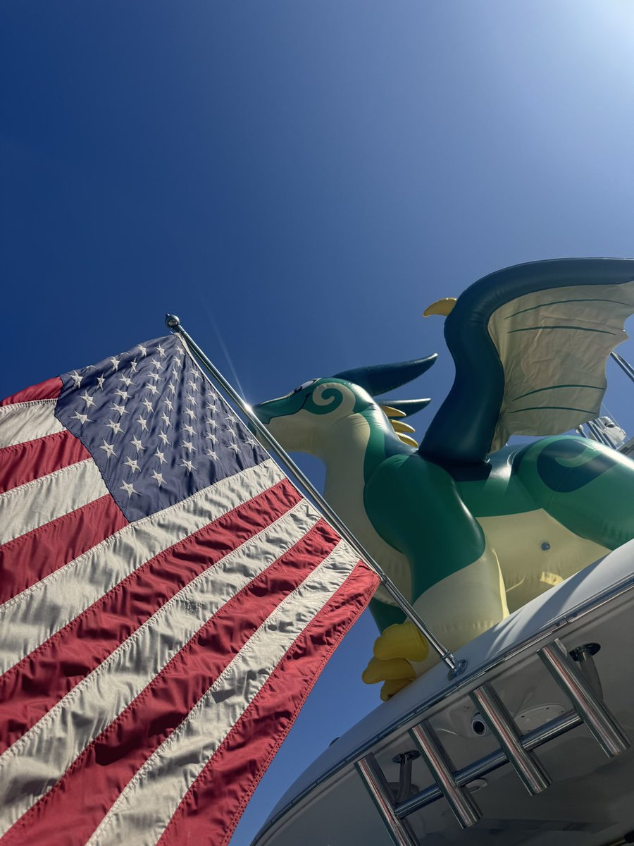 Happy 4th of July yall. 

🐲<a href="/PuffyPawsToys/">PuffyPaws</a>