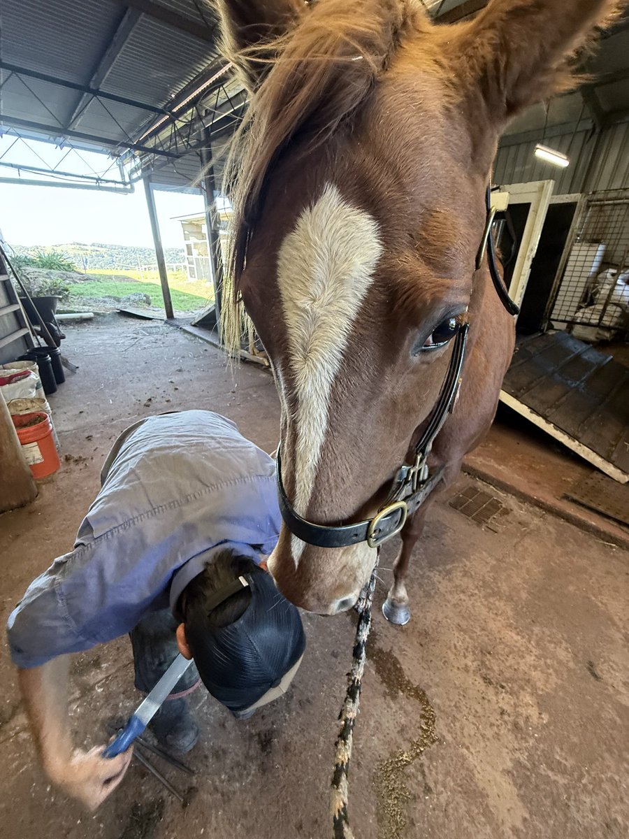 Daiki Chujo (中條 大輝) tweet media