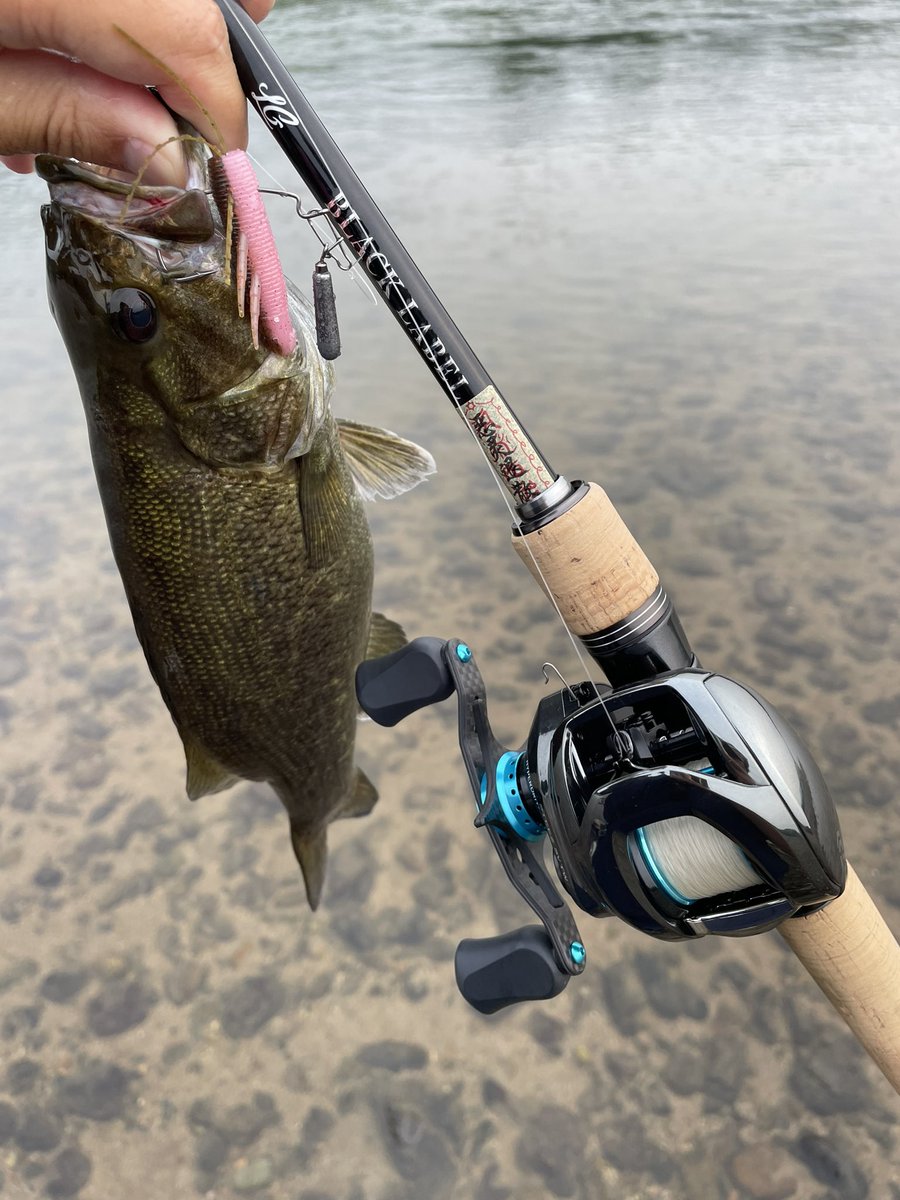 kazuma_svtw's tweet photo. 今日は直リグ3.5gブラーモで20cmくらいの釣れてから昨日買った2個目のモゴットで46cm釣れた😆口とお腹にダメージがあったのですぐリリースしました🙏友達2人も46cm釣れてました🐟3回くらいバラしたのが痛かった😅20cmくらいでしたがw

#ブラーモ
#REVONIK
#MOGOT
#POP&amp;DOG
#バス釣り https://t.co/hEORFKBjgb