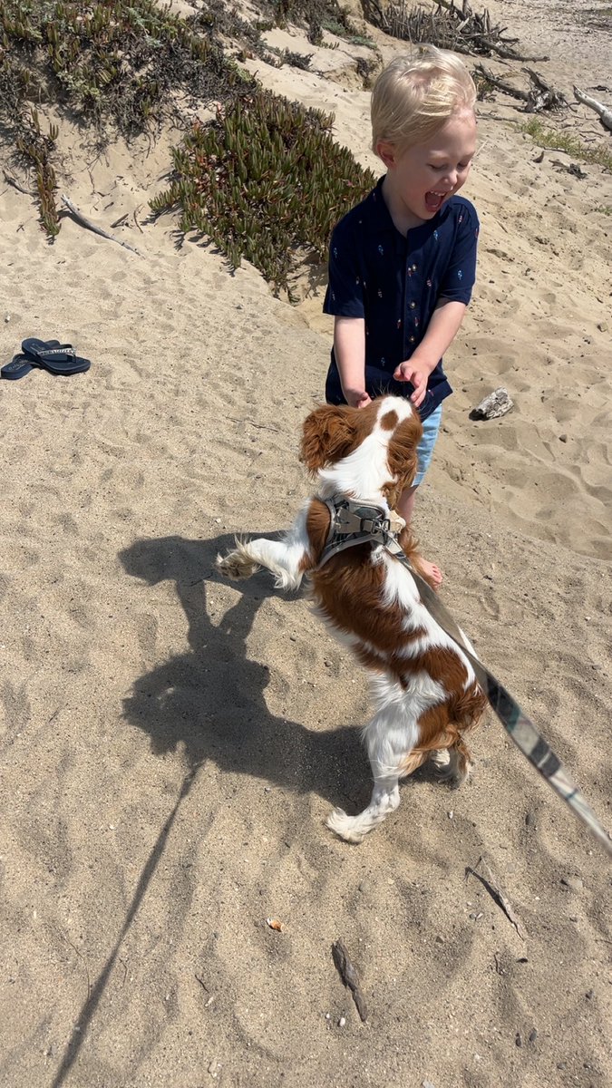 Wishing everyone a Happy 4th of July from the beach! ☀️ #FourthOfJuly 🧨<a href="/VisitCA/">Visit California</a>