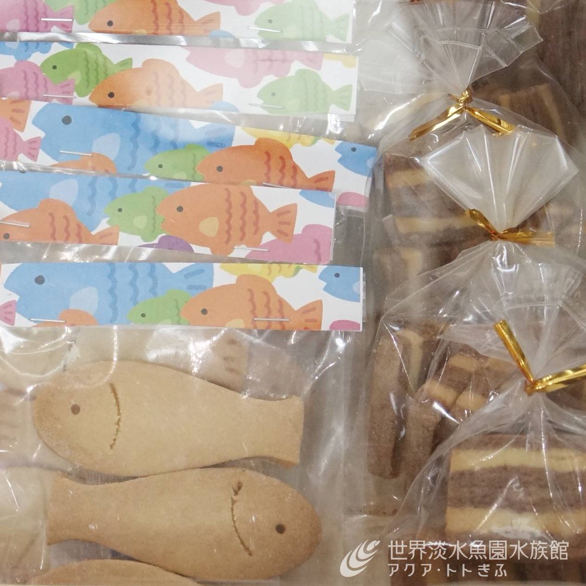 aquatotto's tweet image. 米粉のコラボパン『トトのいきものパン』を販売中!
愛知県一宮市のパン屋さん「ぽけっと」とつくりました。
本日10:00~15:00まで。数量限定のため、なくなり次第終了となります。
クッキーやカステラも販売しています。【広報】 aquatotto.com/event/schedule…