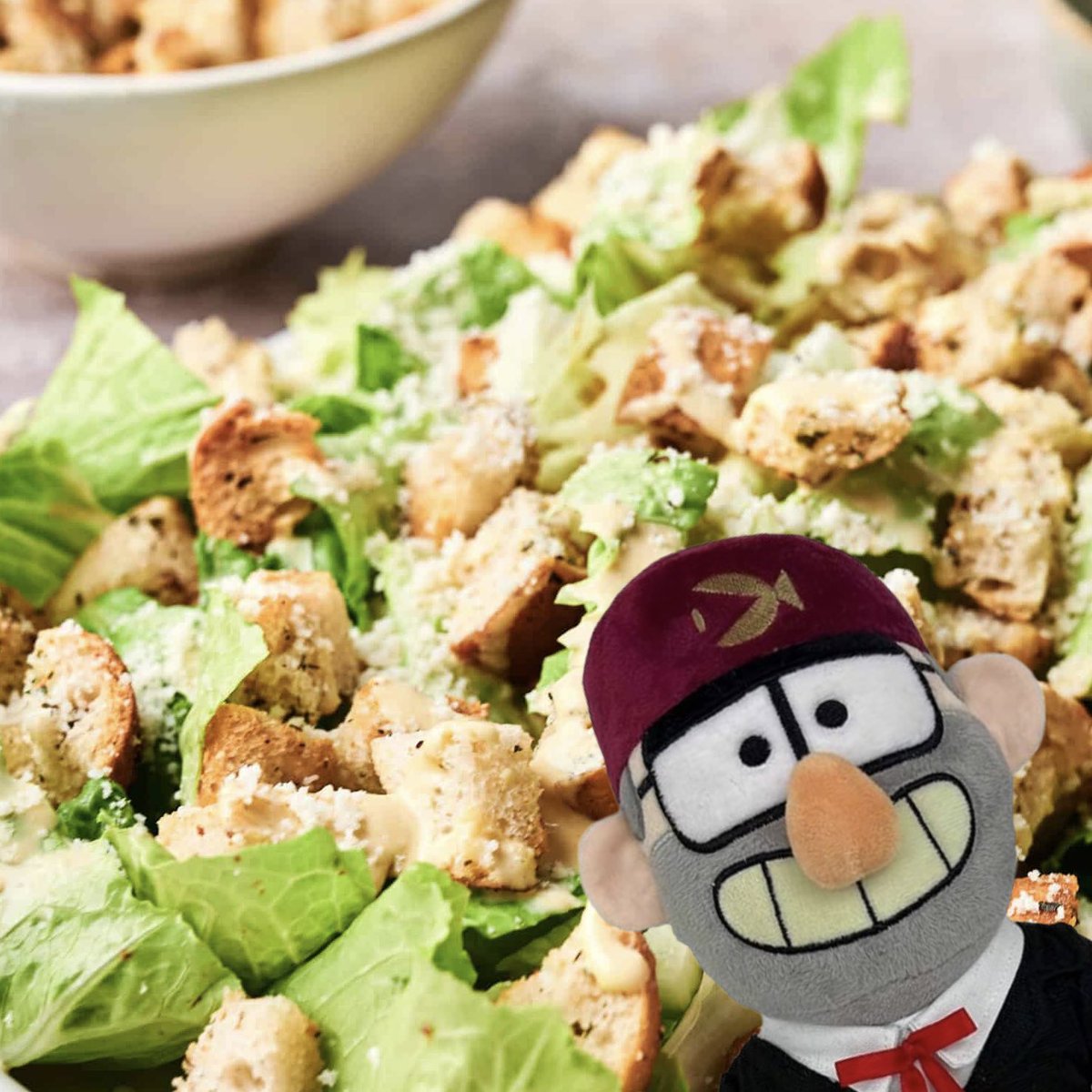 dailystanplush's tweet photo. Stan Plush says Happy Caesar Salad Day!🥗

#GravityFalls #StanPines https://t.co/5bmne5u433