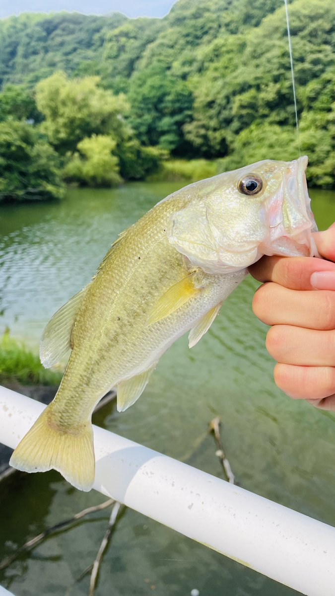 野池バス初めて！