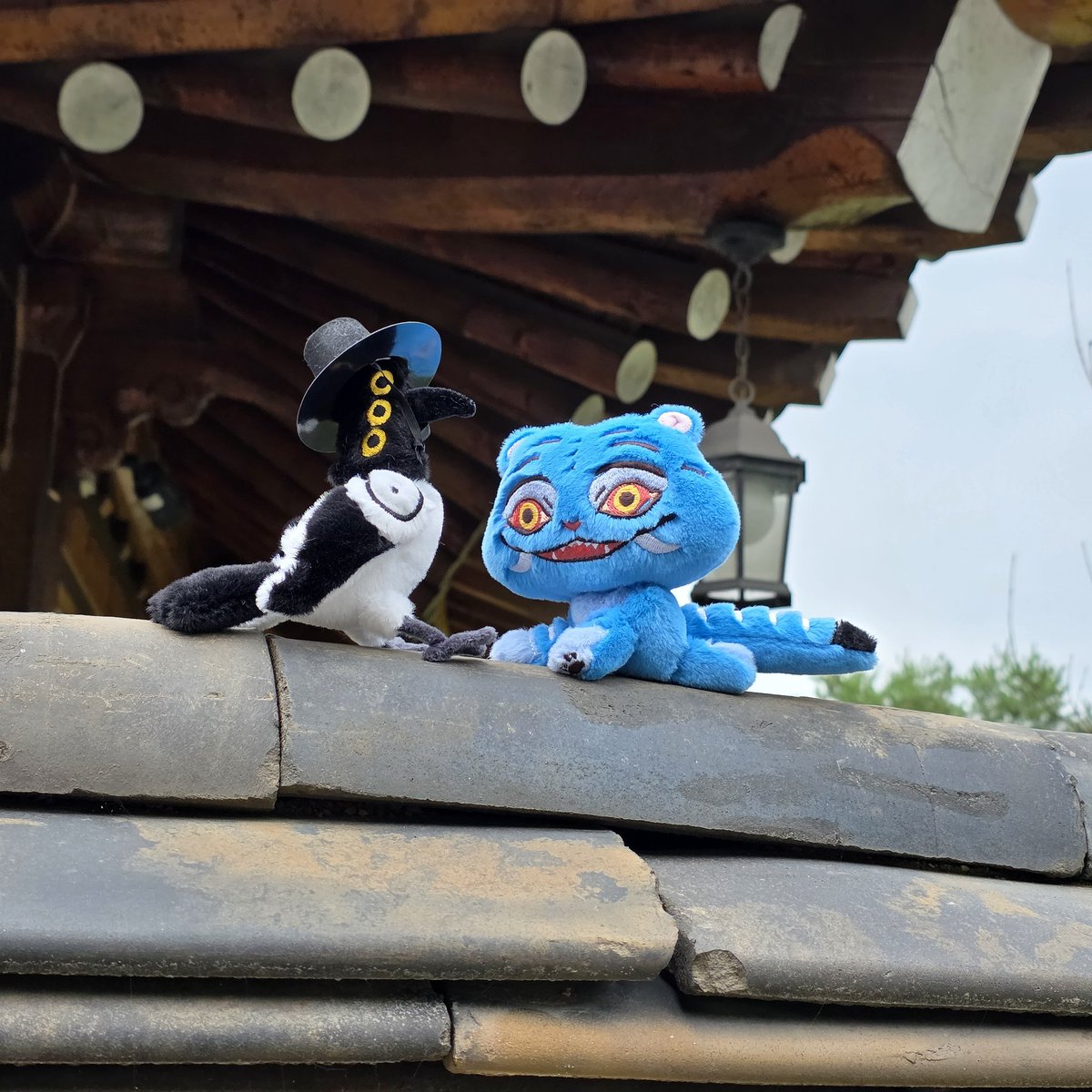 sosohan611004's tweet image. 🐯🐦‍⬛