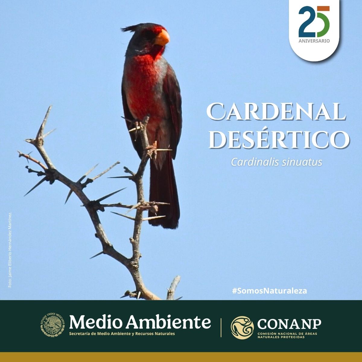 CONANP tweet media