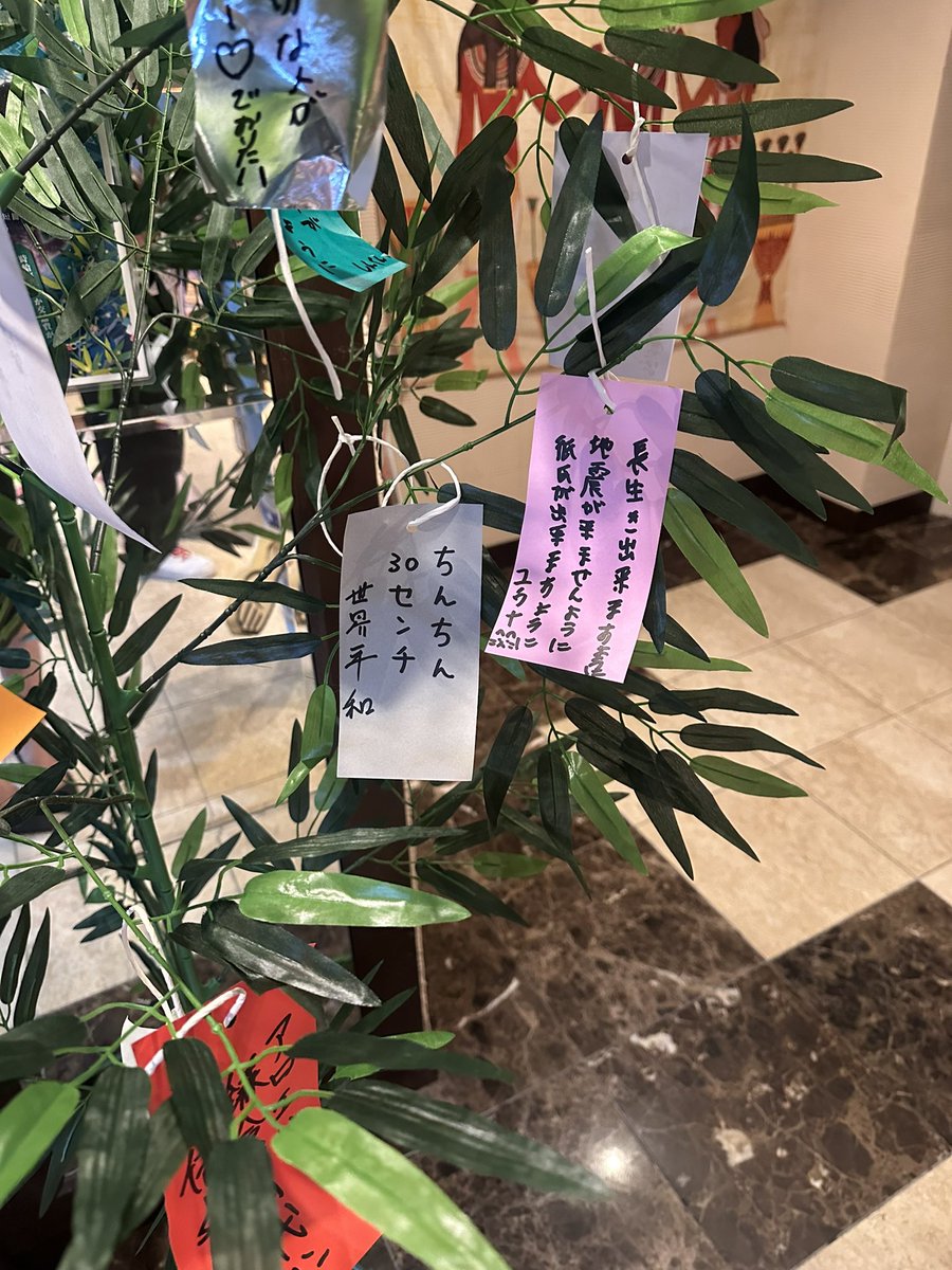 ちんちん30センチ   世界平和