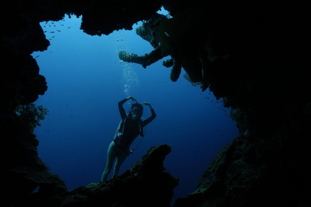 LebonVerret's tweet image. Different diving areas can see different worlds