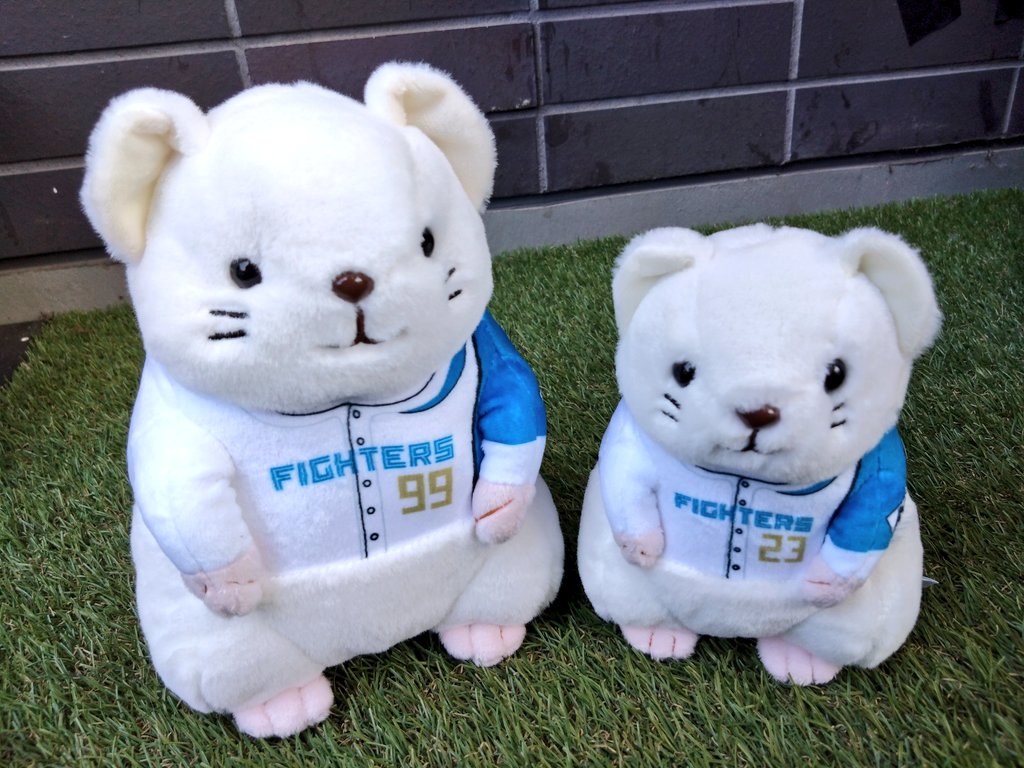 エスコン限定 選手くじ オコジョぬいぐるみ 3等レイエス選手 4等伏見選手 ゆめのと on X: