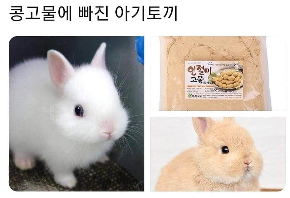 챱 (@lovx11_very) on Twitter photo 