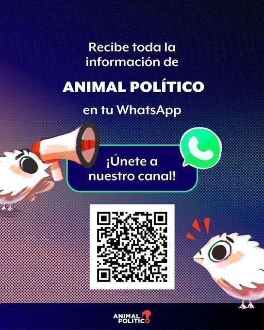 📰Nuestras historias y la información más relevante está en #WhatsApp.

🔔 Suscríbete a nuestro canal y recibe las noticias más importantes del día. buff.ly/3A71nom