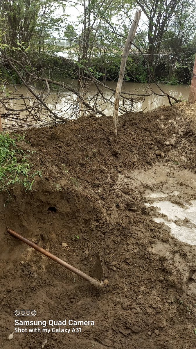 manu_shankhla's tweet image. #भजनलाल_हटाओ_राजस्थान_बचाओ