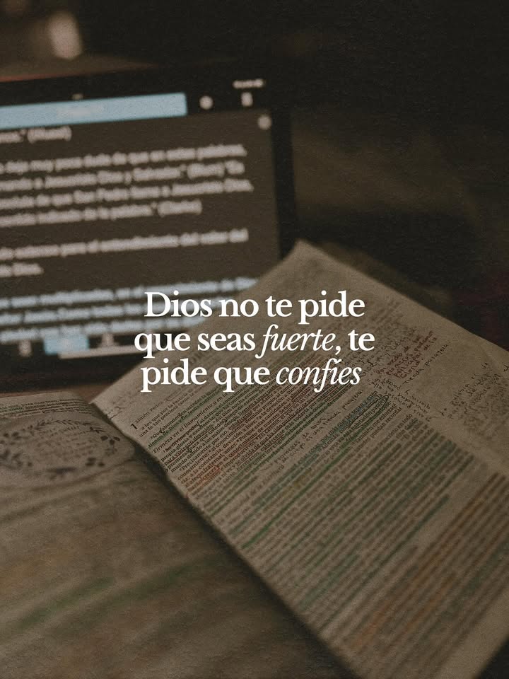 el Siervo (@elsiervo__) on Twitter photo 
