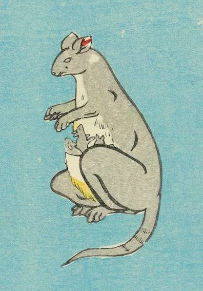 _Xelyna's tweet photo. 明治時代のカンガルー https://t.co/IYa3BkKbl5