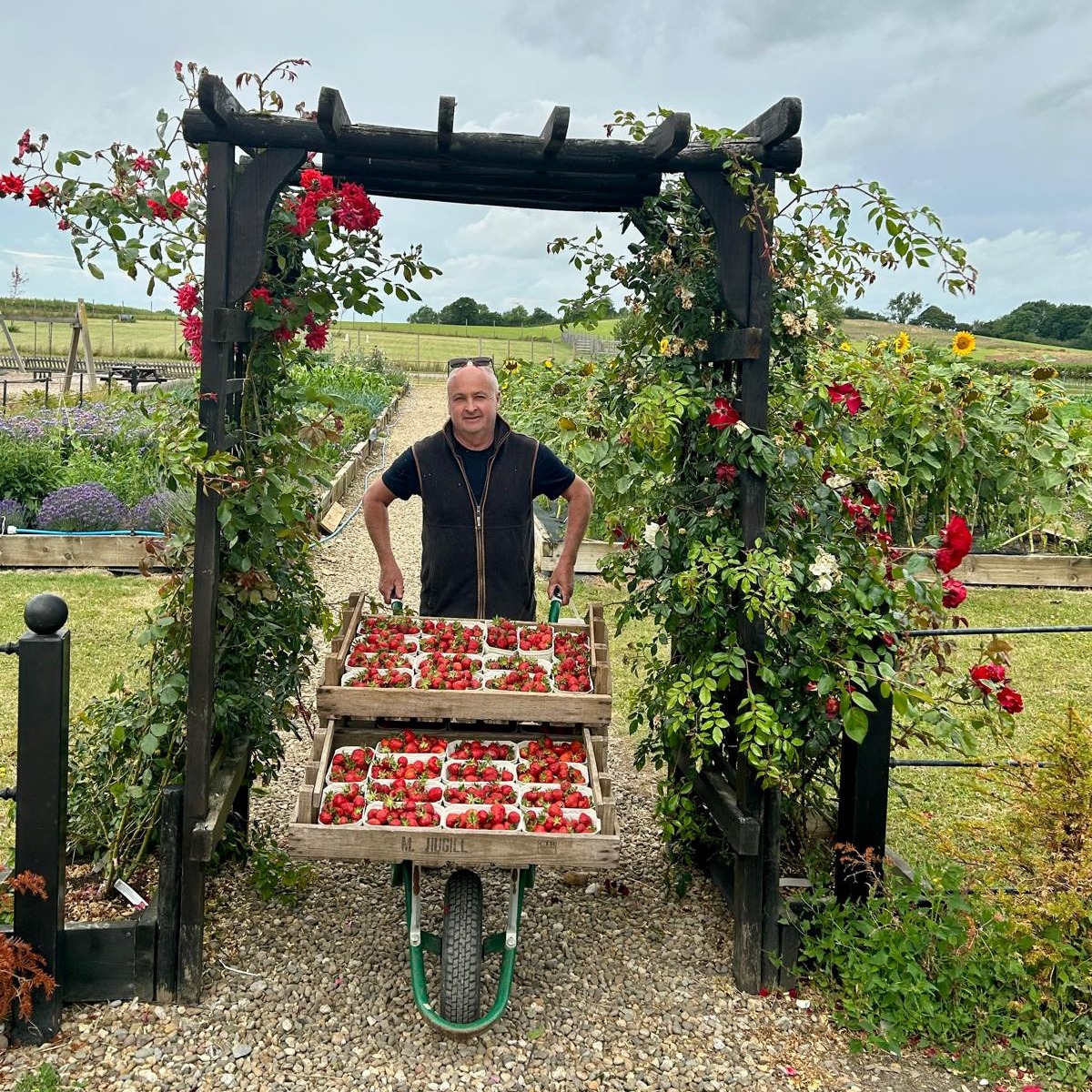 cedarbarn's tweet photo. Growing great strawberries runs in the Avison family π
Come and see for yourselves this weekend - the PYO and the train are open both days from 10 am to 3 pm π
#CedarbarnStrawberries #PYOPickering #MiniatureRailwayPickering #ThingsToDoInPickering https://t.co/5cAMkHC07s