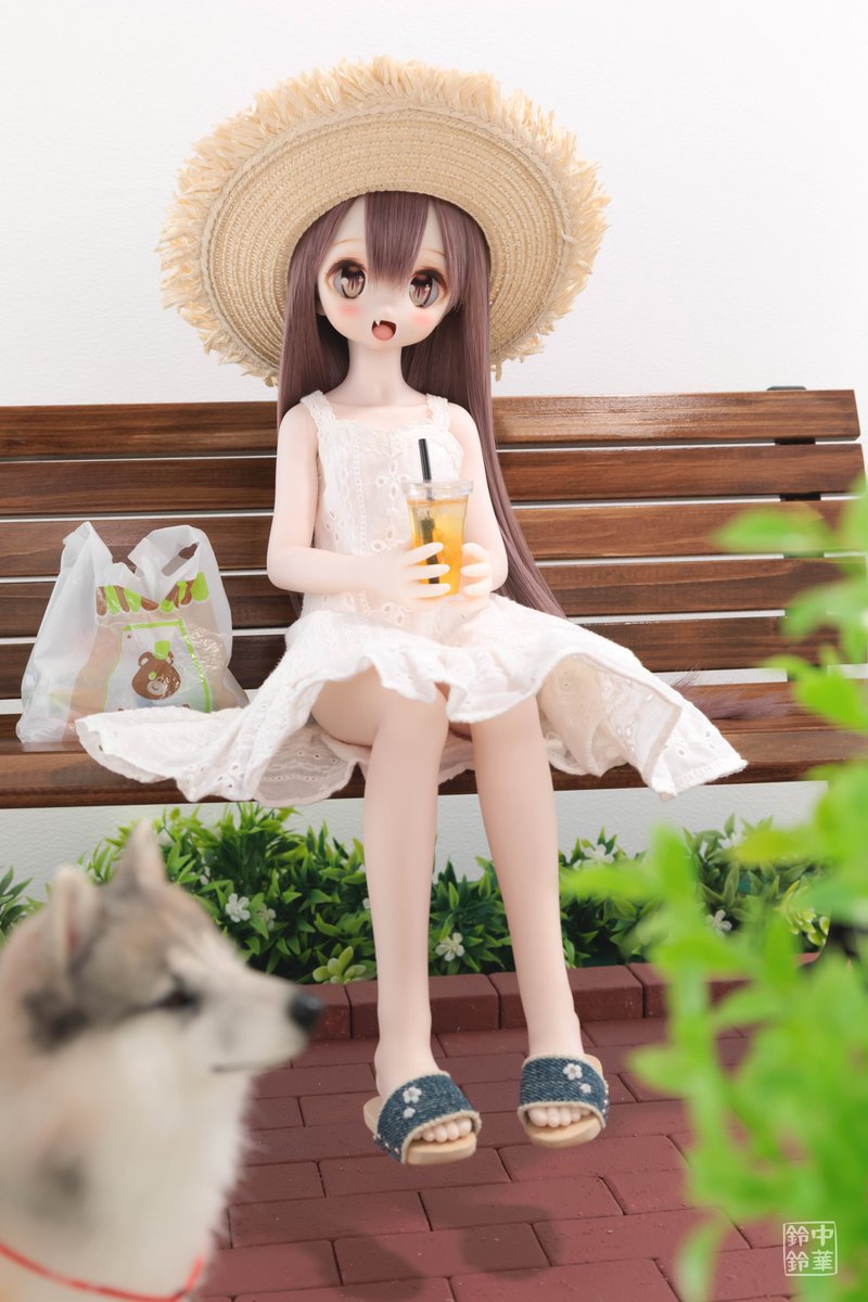 熱中症にならないように、こまめな水分補給をしっかりしましょう☀🥤🙄
鈴音『あんな毛皮着てるのに涼しそうな顔して、ワンちゃんは暑さに強いねぇ〜🤔💦💦💦』🐶💦『（水…）』
#うちのこかわいい #ドールのベンチ