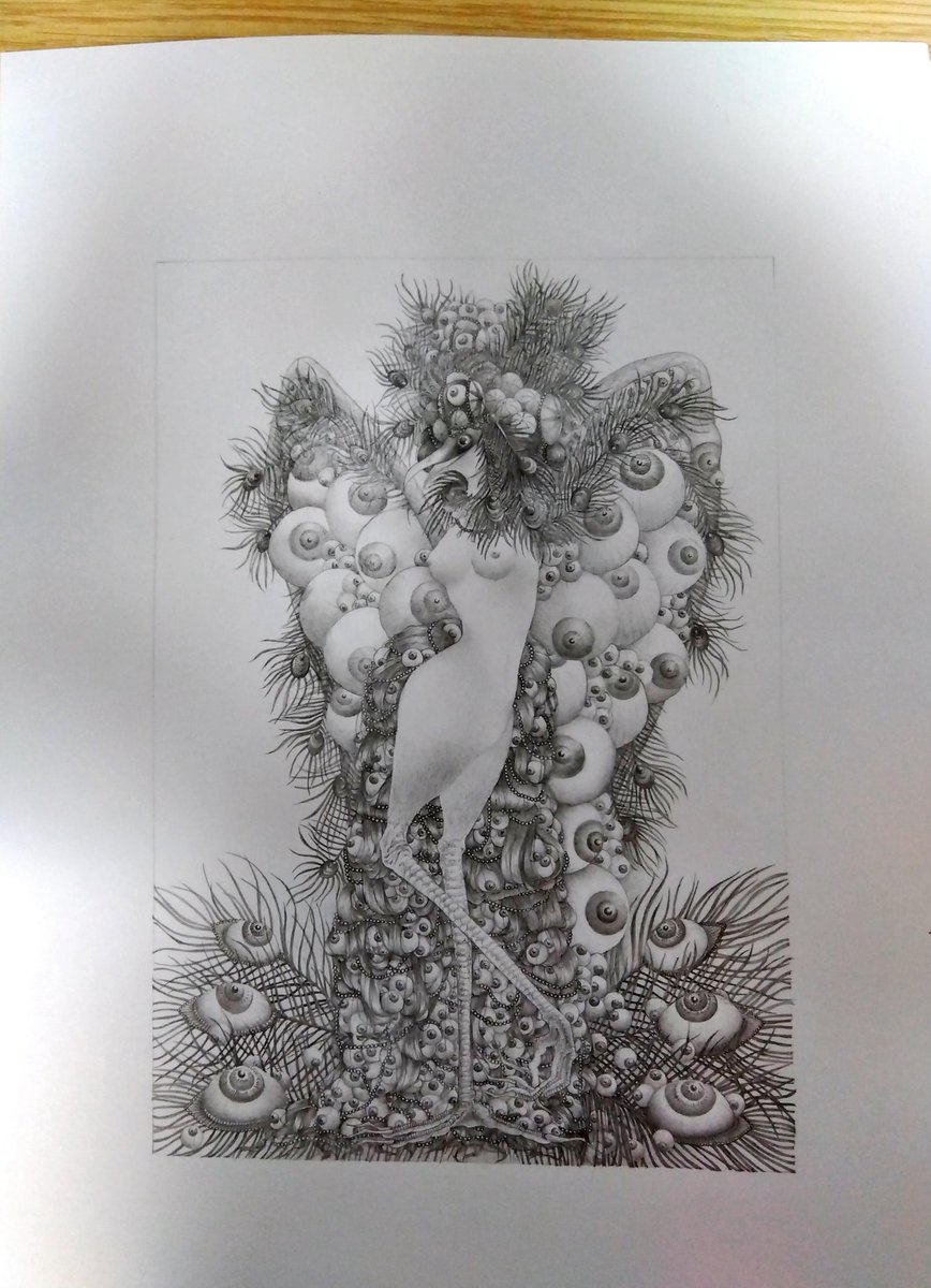 完成
2025,07.05
「眼球譚:シモーヌ:千の眼の行進」

 #シャーペン
  #アナログ