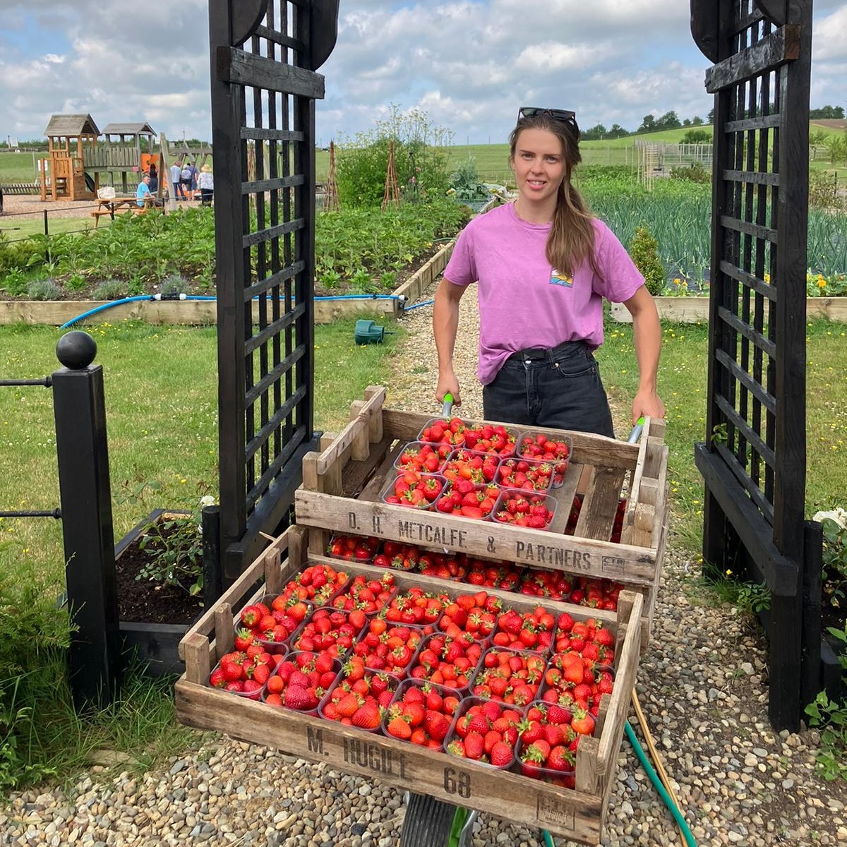 cedarbarn's tweet photo. Growing great strawberries runs in the Avison family π
Come and see for yourselves this weekend - the PYO and the train are open both days from 10 am to 3 pm π
#CedarbarnStrawberries #PYOPickering #MiniatureRailwayPickering #ThingsToDoInPickering https://t.co/5cAMkHC07s