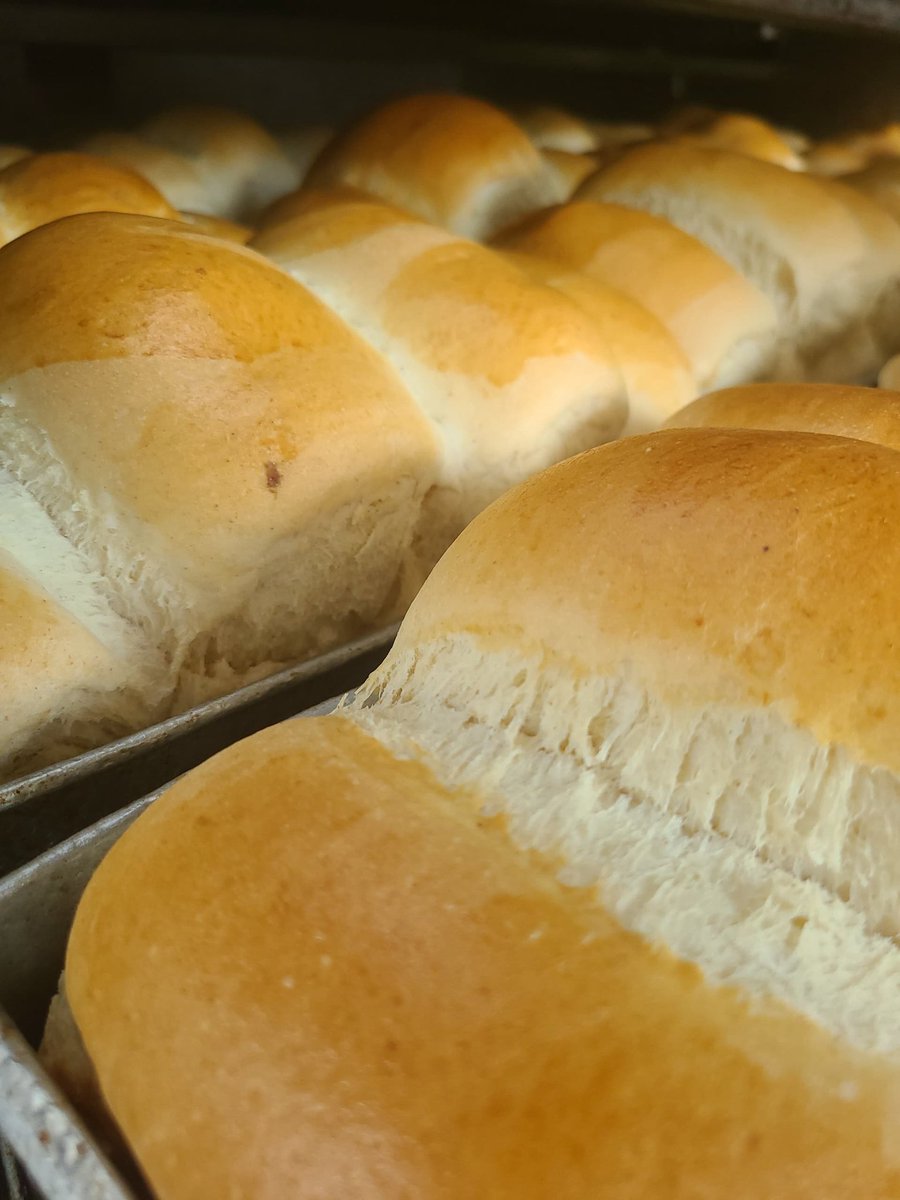 Virtuous_bread's tweet photo. Good morning bread lovers 
We are open and ready to serve you https://t.co/JyTugZePN8