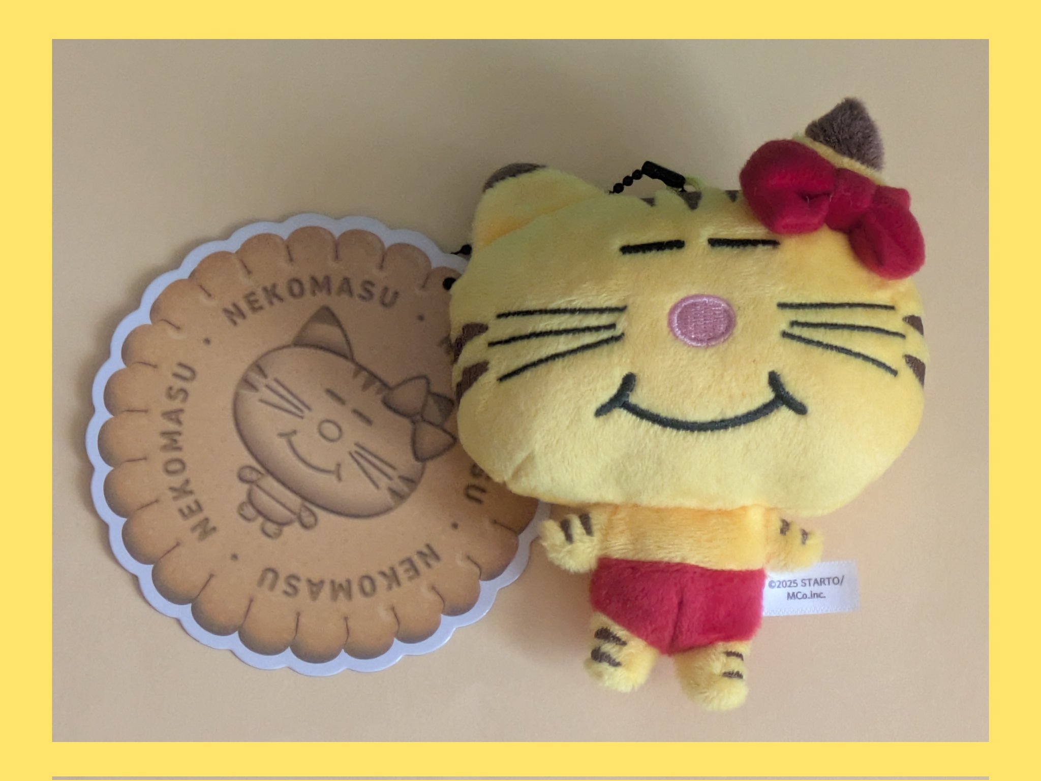 シゲです。猫＆鼠 hiro on X: 