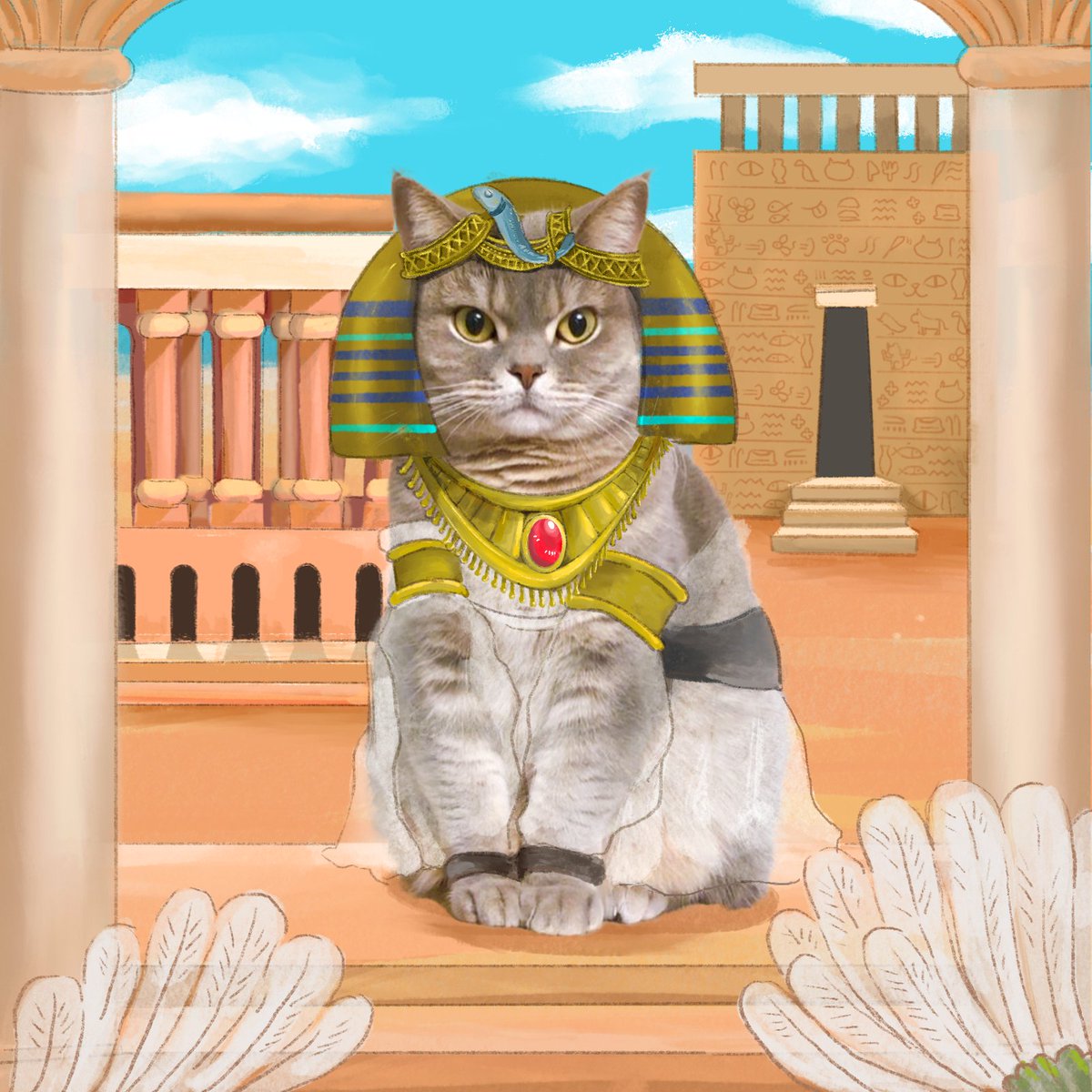 はむねこさま確認ページ♡ 2週間ほどまえに我が区で保護された #シャム猫姫ちゃん 🩵前回の