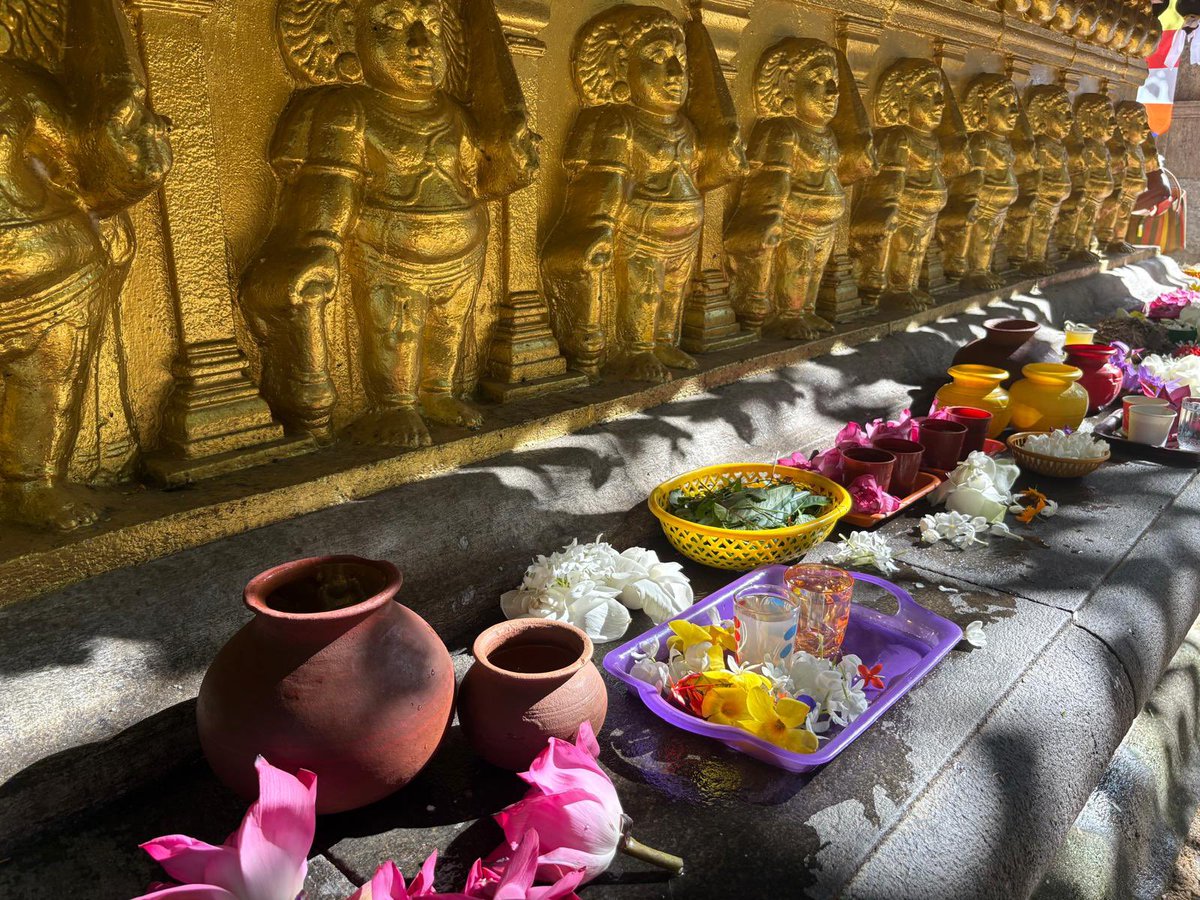 Lisa Whanstall tweet media