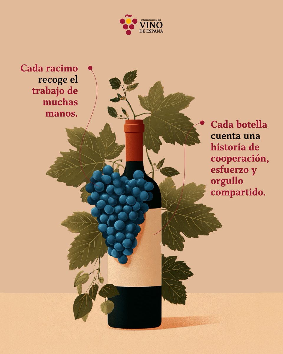 Hoy celebramos el #DíaInternacionalCooperativas 🍷 Más de 500 cooperativas vitivinícolas sostienen el vino español:

✅ Generan empleo rural
✅ Impulsan sostenibilidad
✅ Fomentan igualdad

Son comunidad, territorio y tradición. ¡Brindamos por ellas!

#VinoDeEspaña #OIVE