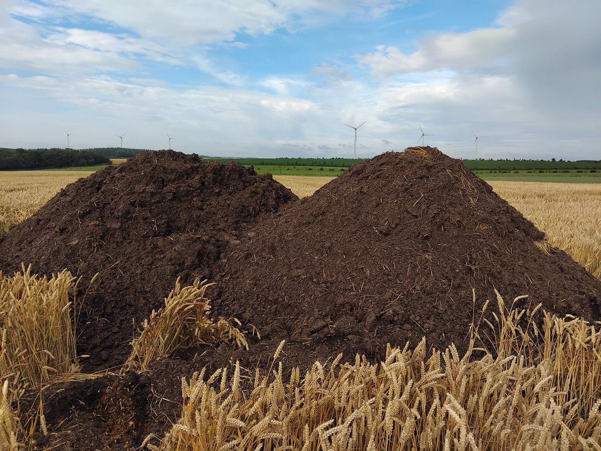 La plaine change, la campagne N+1 se prépare déjà.... 🌾

Les OH finis à 90% ds le coin: 75 à 110 qtx, moyenne autour de 95 qtx.
J'ai opté pour le Blé/blé au lieu de l'OH, 🤞 si la décision était bonne.

 J-15 pour le reste

55 grains sur Pondor quid du PMG
Colza il y a du monde