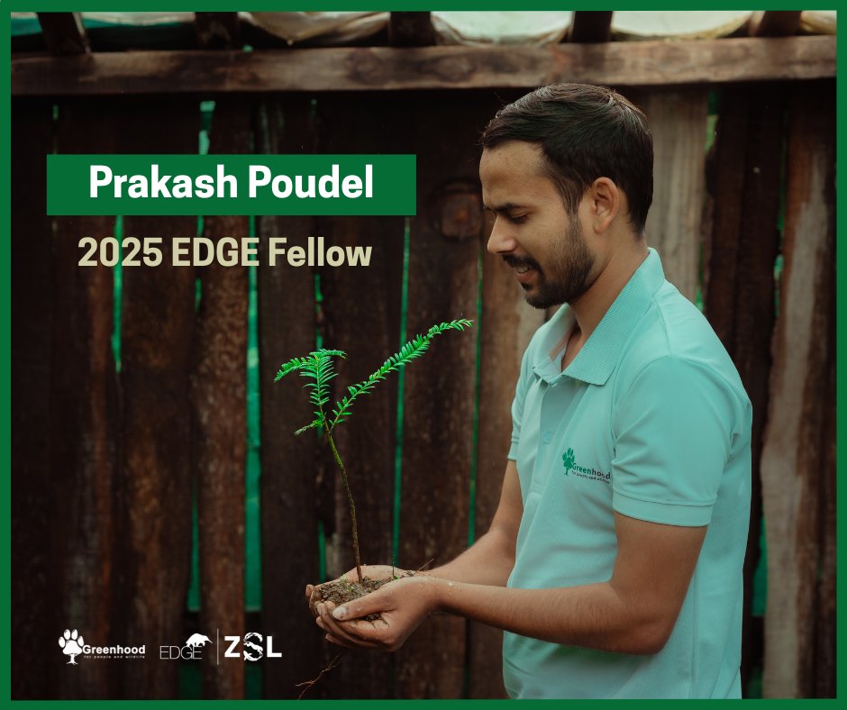 Greenhood Nepal tweet media