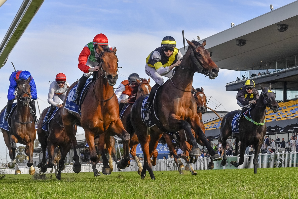 NEWS: Tavistock mare Good Banter was back in the winner’s circle when narrowly prevailing in the Catanach’s Jewellers Handicap (2000m) at Rosehill on Saturday.

racingnews.co.nz/banter-is-back…