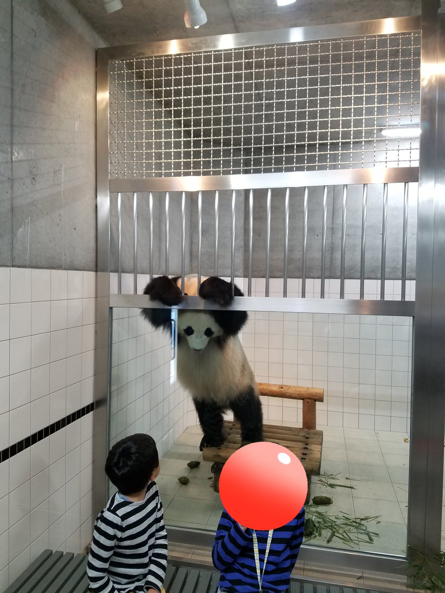 ねえねえ、なに話してるの？

（2018.5　アドベンチャーワールド　桜浜）