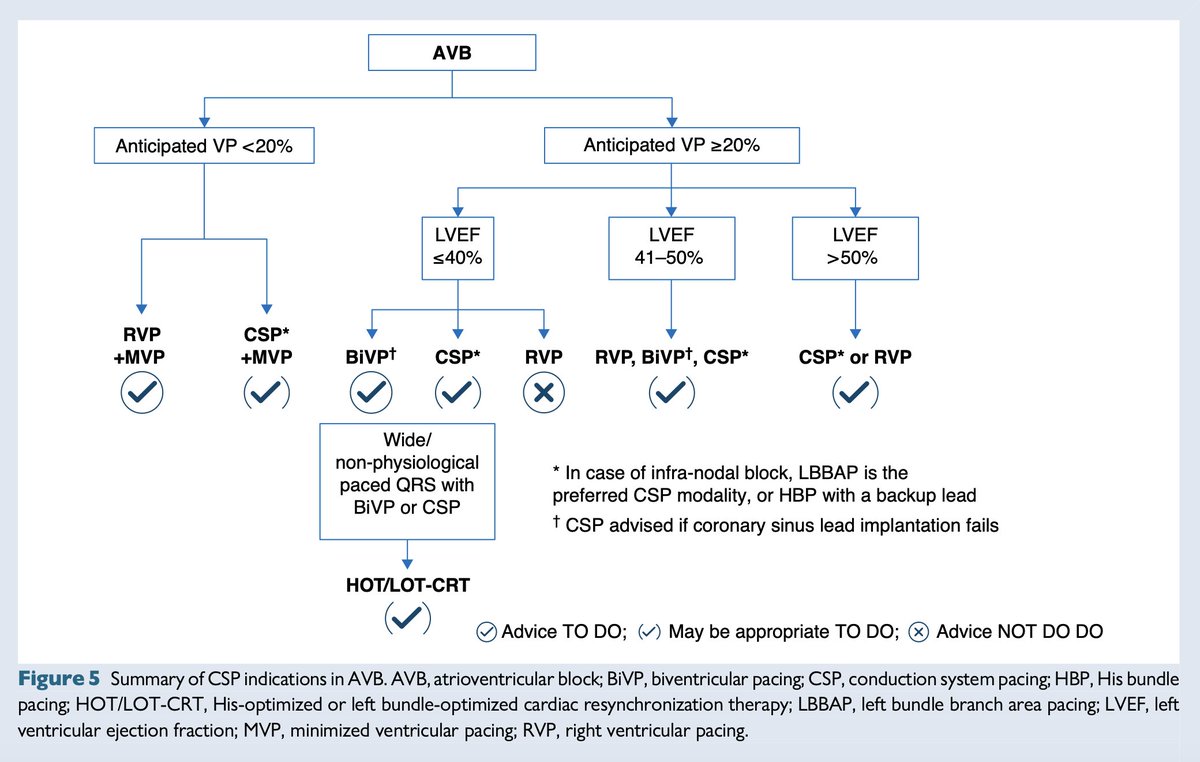 EHRAPresident's tweet image. #EHRAtopicweek
How should we approach patients with AV block?💡
🔌 CSP may be an appropriate strategy
💥 When BiVP is indicated, CSP can step in as a rescue strategy
🧪 Ongoing trials are exploring CSP in AV block with LVEF &lt;40%
⚠️ And remember:
In infra-nodal AV block, LBBAP…