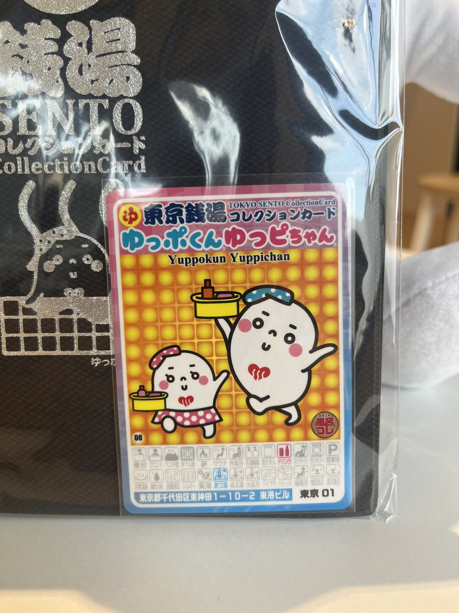 激レア⚡️ 銭湯コレクションカード専用ホルダー入荷！ 120枚収納可能