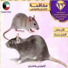 من امس بدأت تطلع من جحورها بعد مغادرة البطل 
#الهلال_فلومينينسي