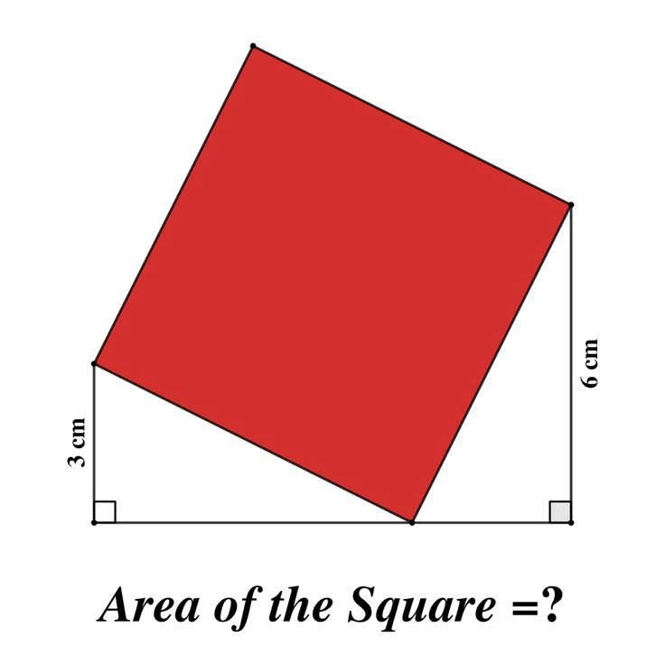 mnd233445's tweet image. Red area = ?