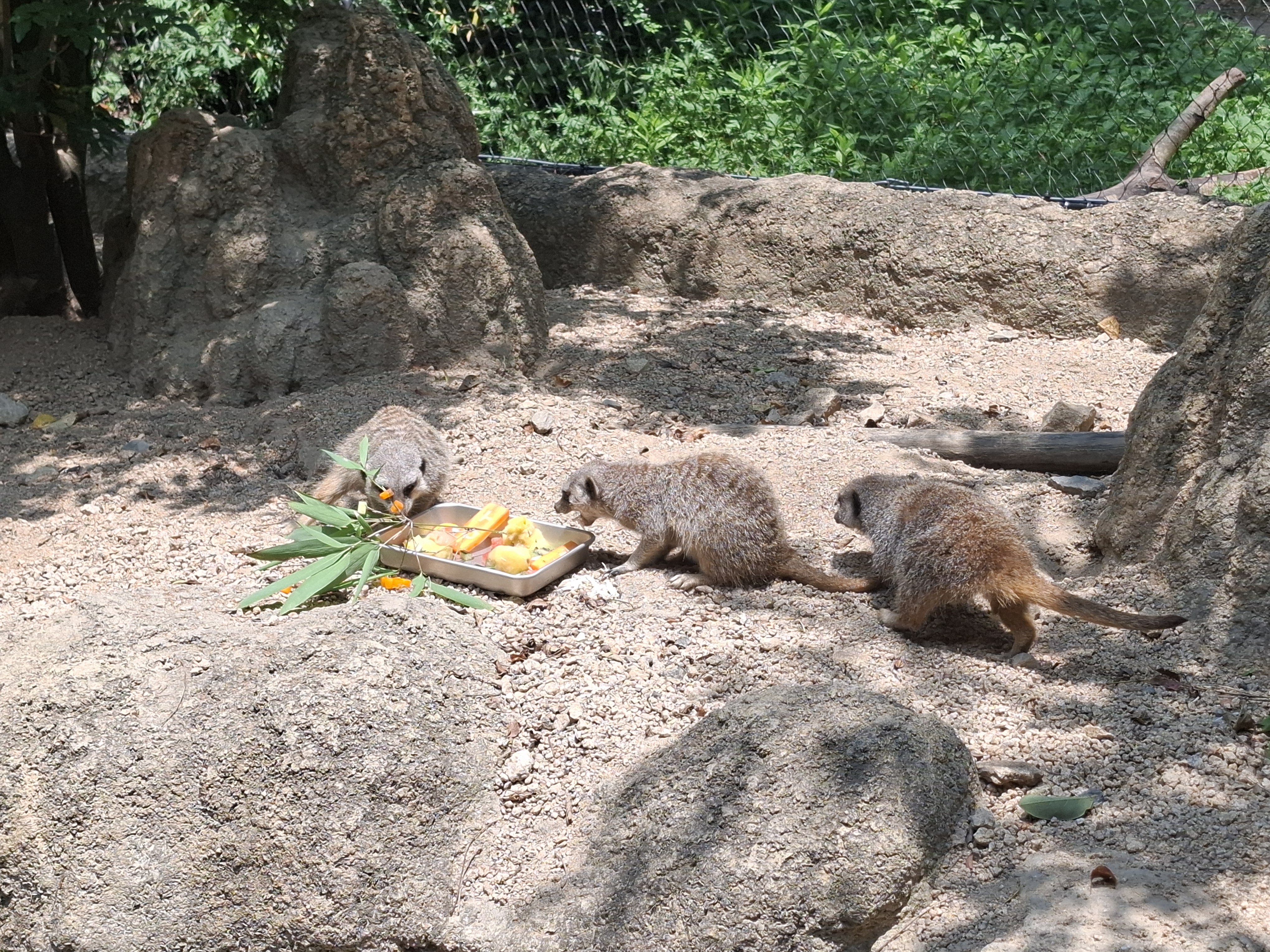 ときわ動物園 - ときわ公園|山口県宇部市