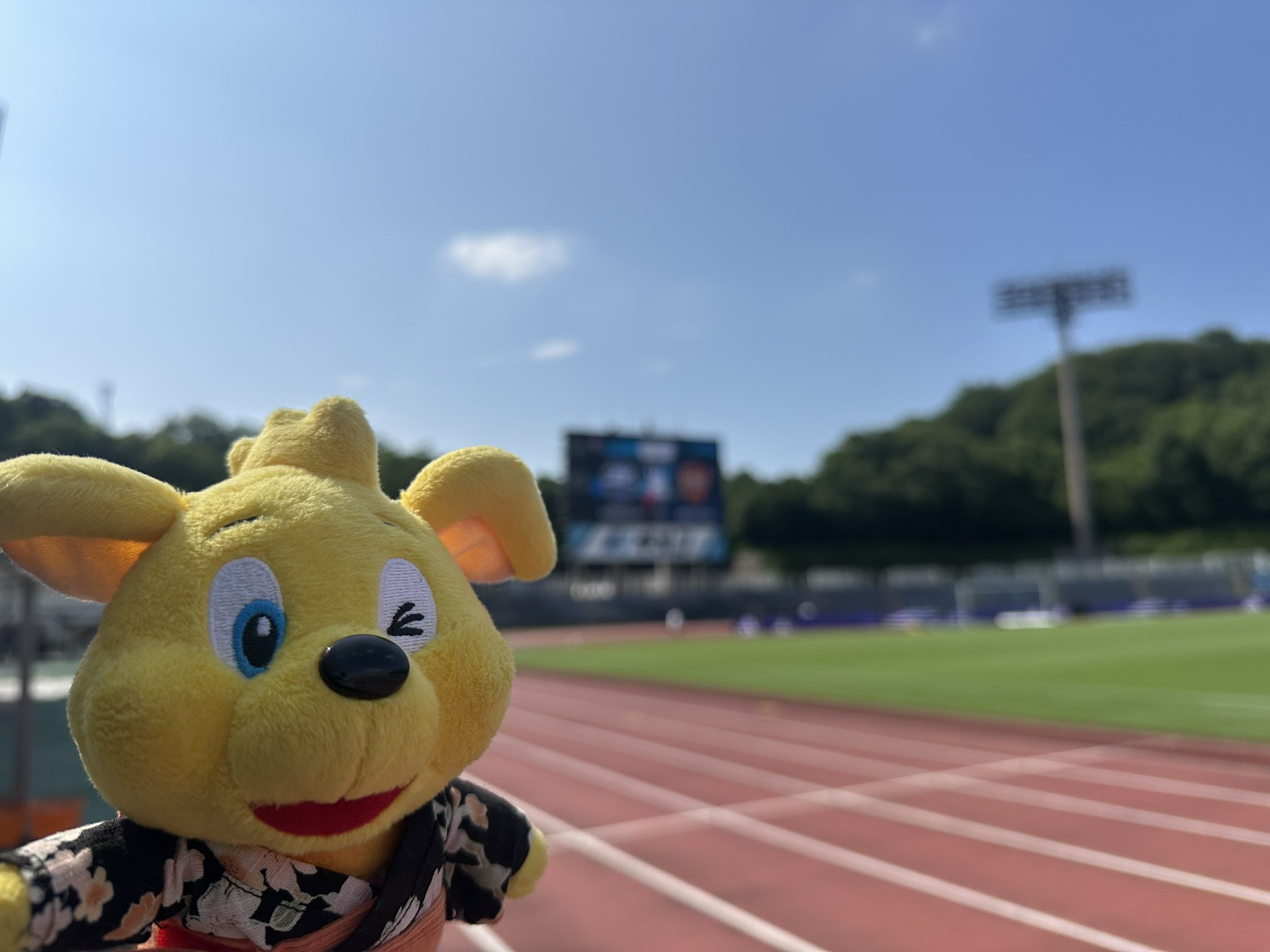 清水エスパルスJr.ユース　移動着 ネイビー ストライプ ピステ 2/22(土)アルビレックス新潟戦】～スクールパーク ABC presents