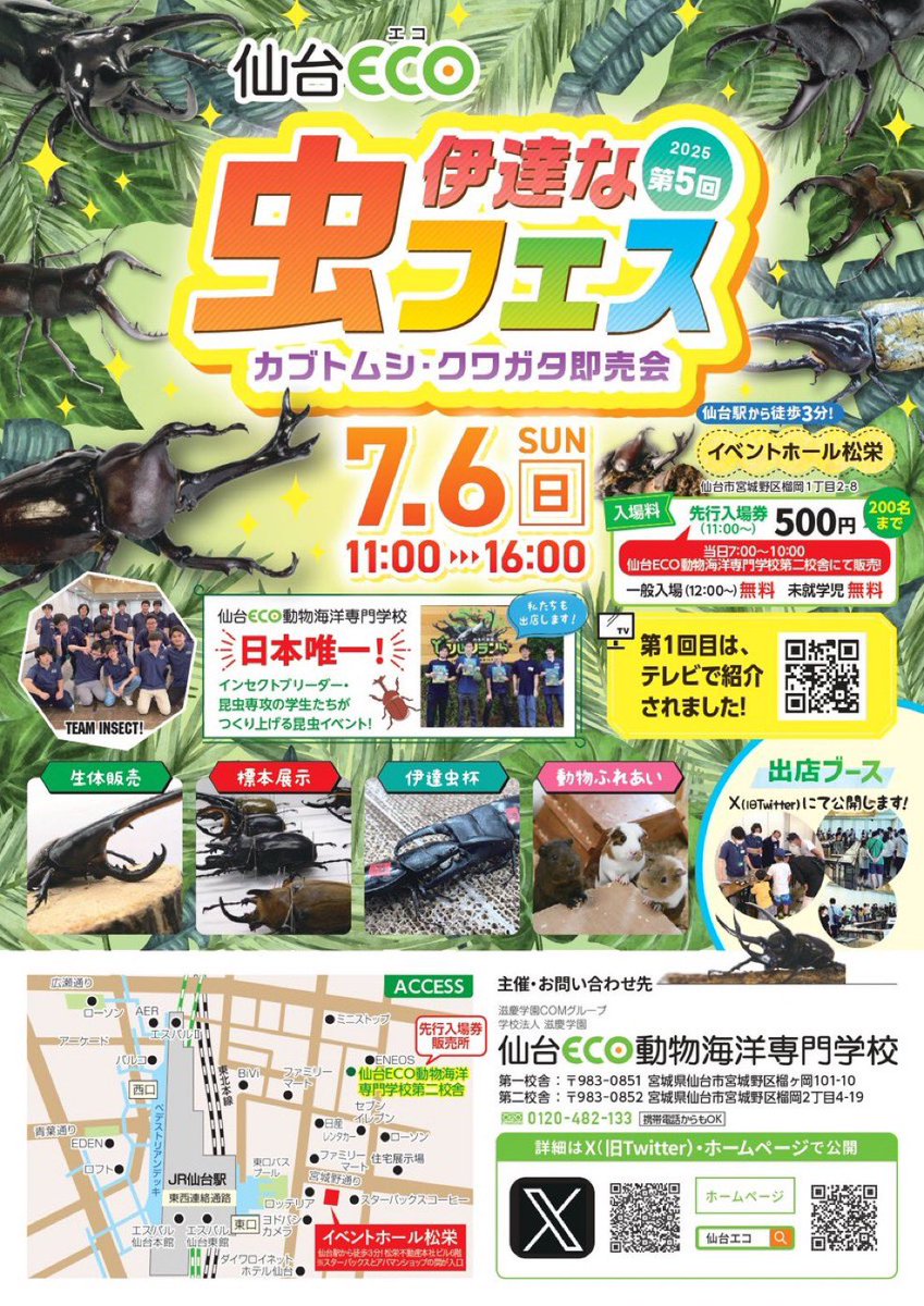 mushi2091's tweet image. 仙台CEO 第5回 伊達な虫フェス
7月6日 11時〜16時
会場:イベントホール松栄
宮城県仙台市宮城野区福岡1-2-8
JR仙台駅徒歩3分
先行入場: 11:00~ 500円
一般入場: 12:00~ 無料
⭐️詳細はチラシをご覧ください🎋
むし社も参加いたします✨
仙台のみなさま会場で
お会いしましょう☀️