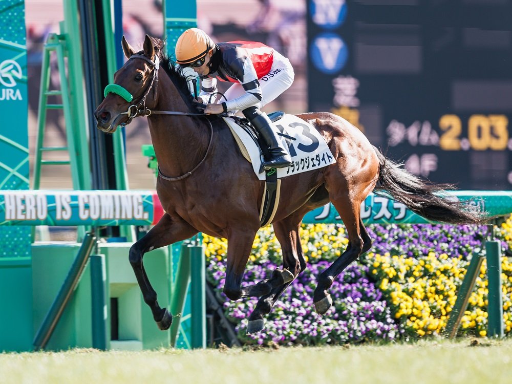 yggowners's tweet image. 本日の出走馬🏇

#ブラックジェダイト
函館9R　恵山特別３歳上1勝ｸﾗｽ
芝1800m　14:15
7枠7番　佐々木大輔騎手