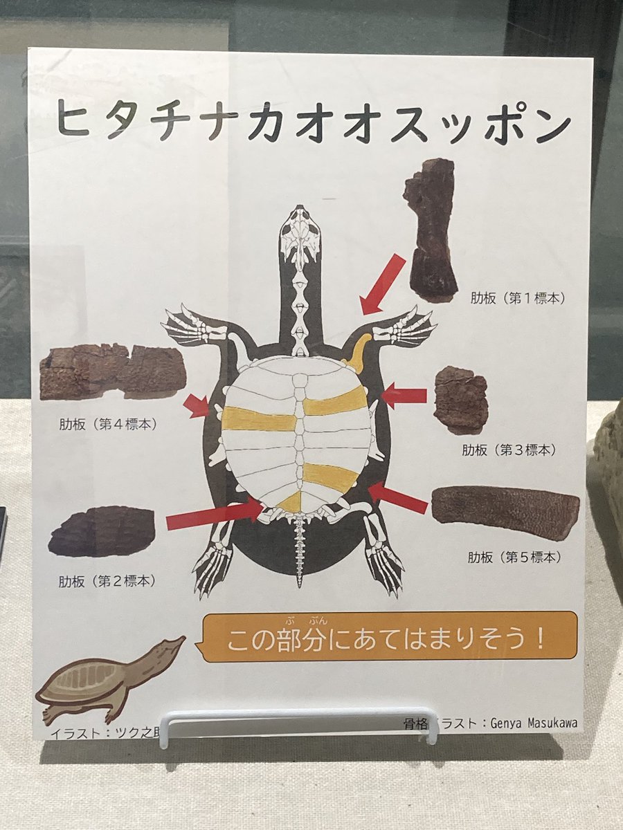 らえらぷす@HJ連載中 on X