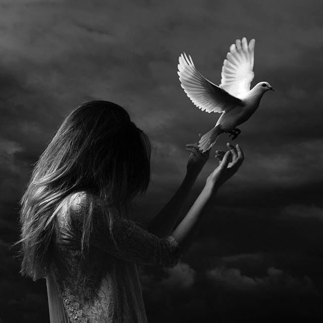 May God give you all strength 

To give us all world peace🕊️

🙏🏽

Goodnight ~
Till the morning light✨🌙